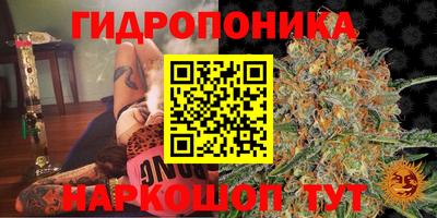 спиды Бугуруслан