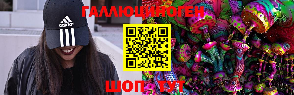 Псилоцибиновые грибы Cubensis  Псилоцибиновые грибы Psilocybe  Фурманов  Вход с VPN 